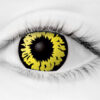 Fashion Eye Explosion Yellow (With Free Solution And Case)