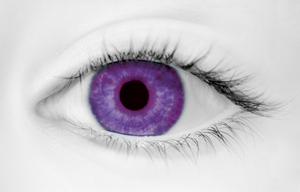 Fashion Eye Accessory Tint Violet (With Free Solution And Case)